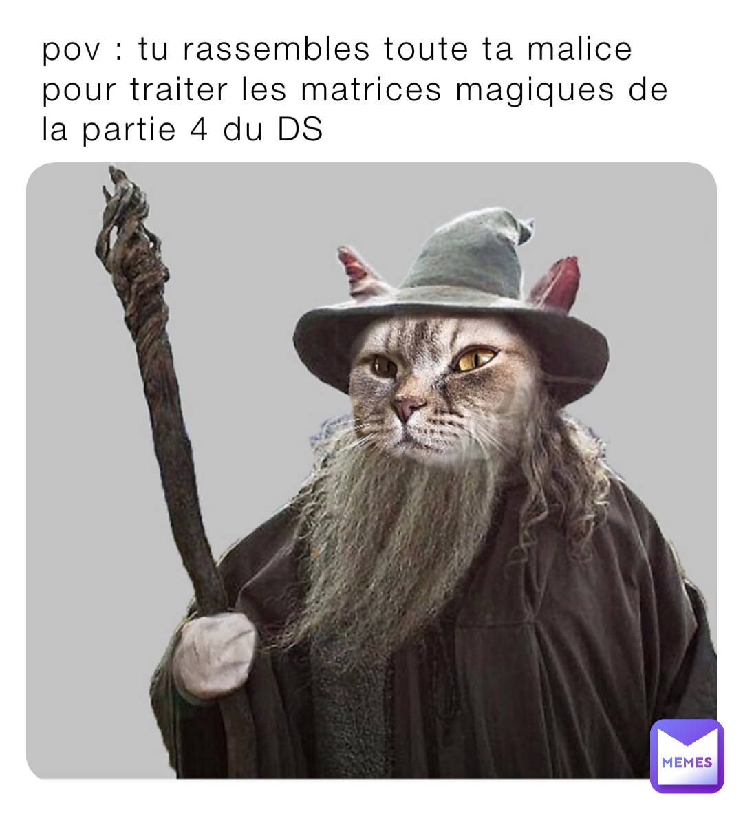 pov : tu rassembles toute ta malice pour traiter les matrices magiques de la partie 4 du DS