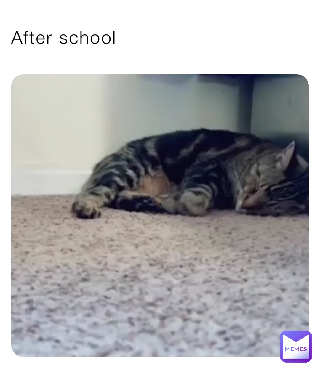 Meme by alexandru_dinca12