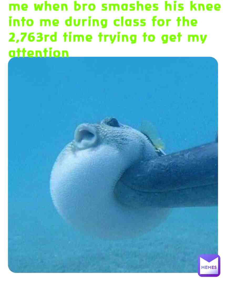 Meme shared by @smudgethespam