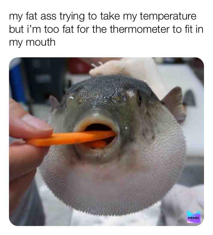 #lol  #funny