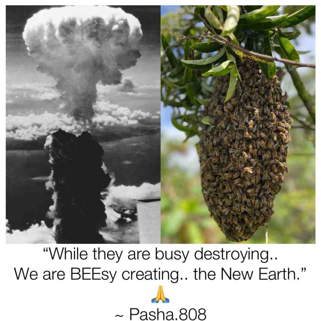 While they are busy destroying, WE are BEEsy creating.. the New Earth.
~ Pasha.808 #conspiracy #agenda #conspiracytheories #illuminati #reset #greatreset # #crazymemes # #markofthebeast #rockefeller #ww #worldwar