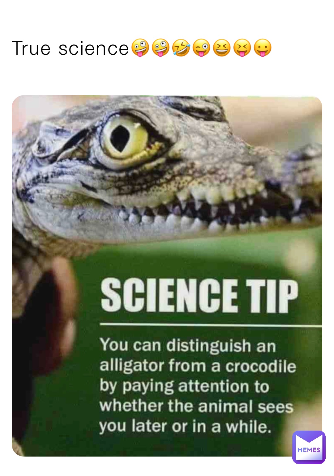 True science🤪🤪🤣😜😆😝😛