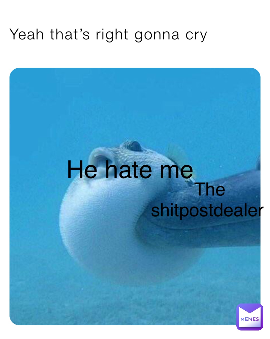 Yeah that’s right gonna cry The shitpostdealer He hate me