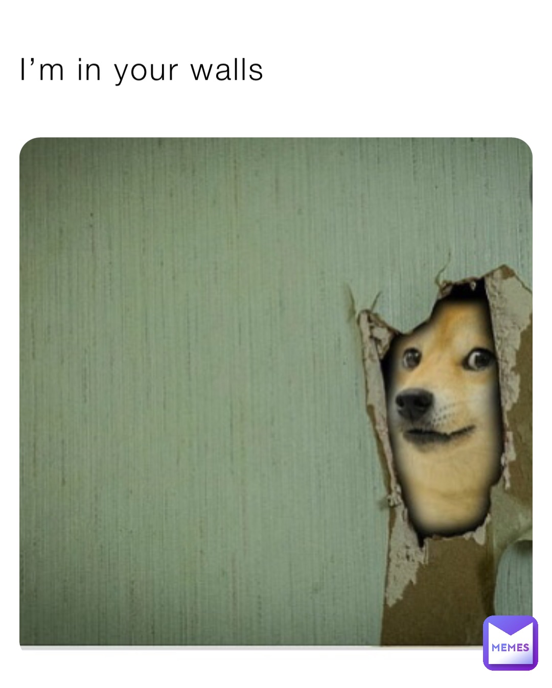 I’m in your walls