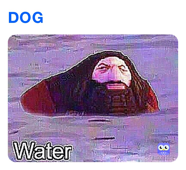 DOG 