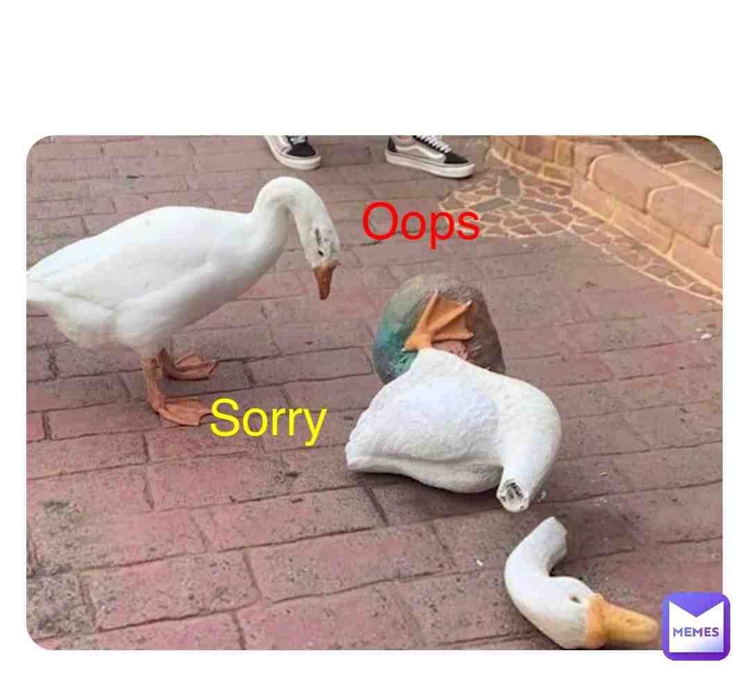 Meme shared by @james-roche