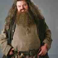 Hagrid you are re still in our hearts ♥️