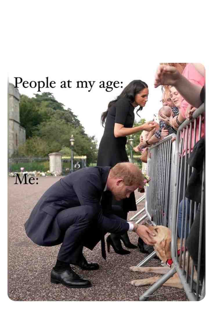 Meme shared by @james-roche