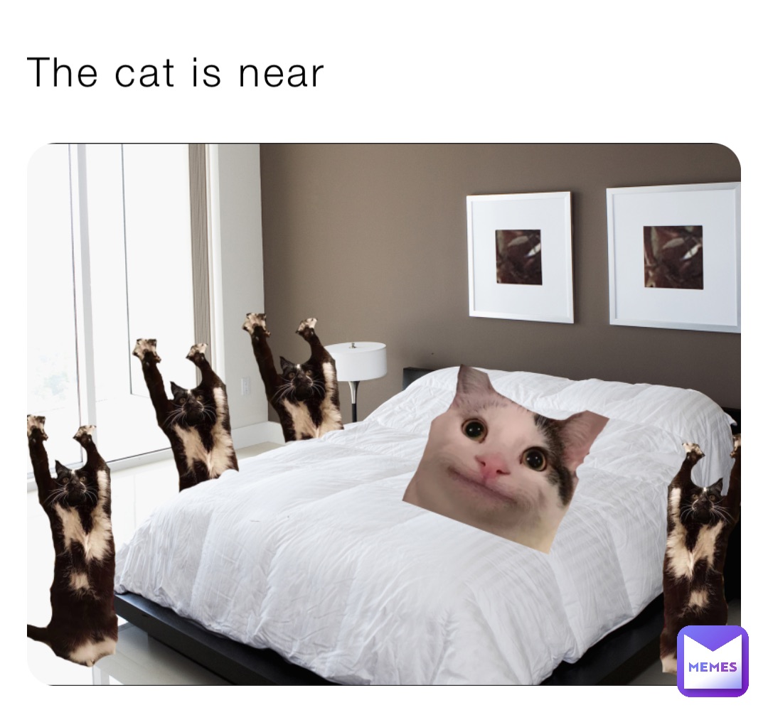 The cat is near