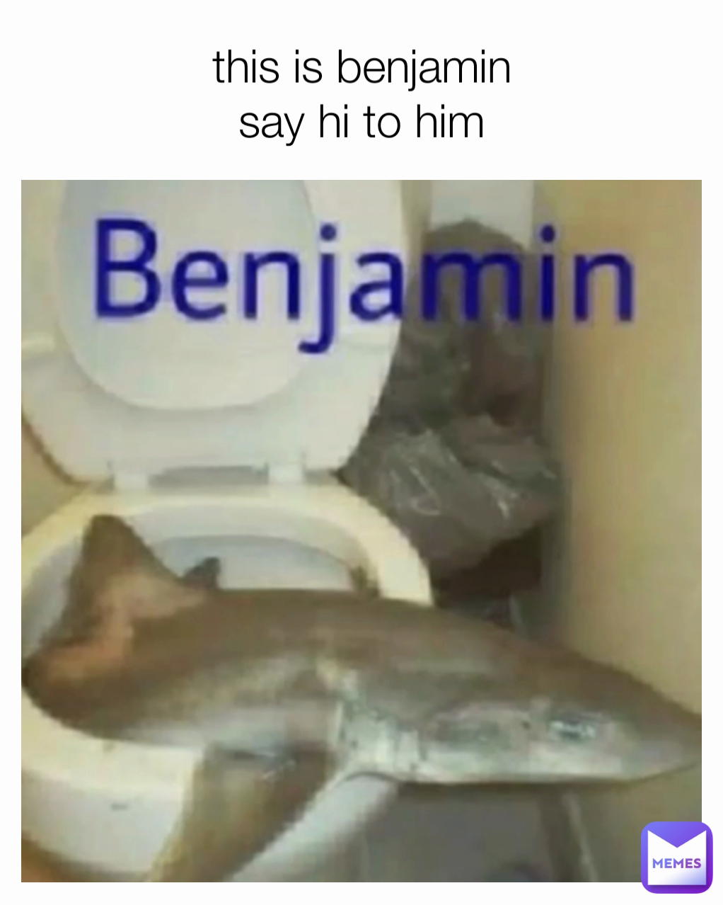 this is benjamin
say hi to him