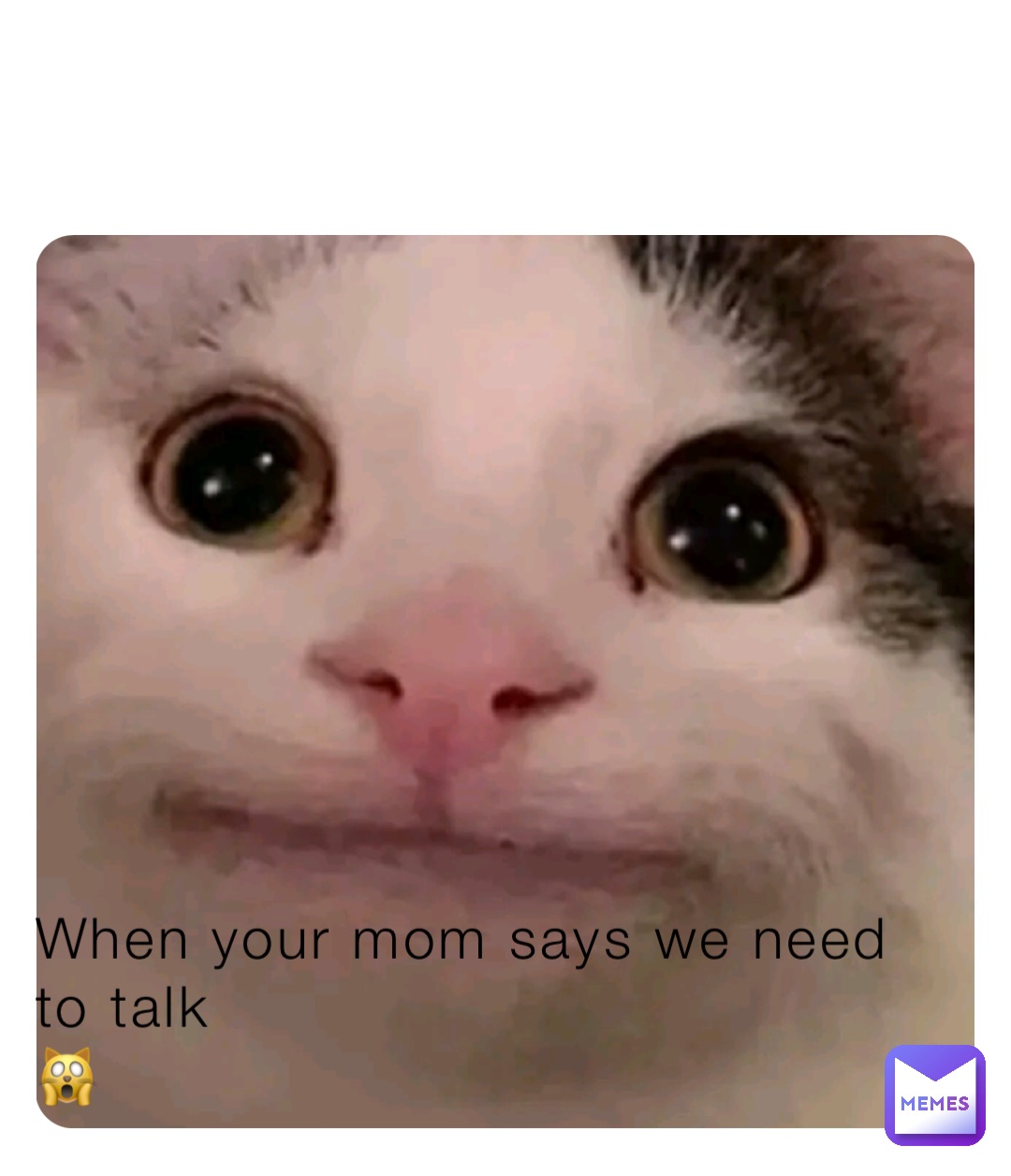 When your mom says we need to talk
🙀