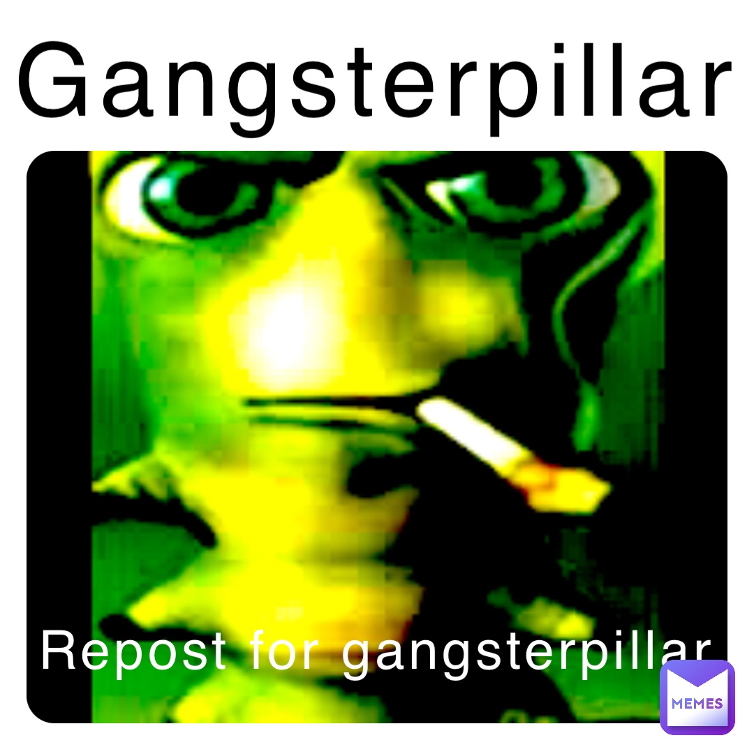 Gangsterpillar Repost for gangsterpillar
