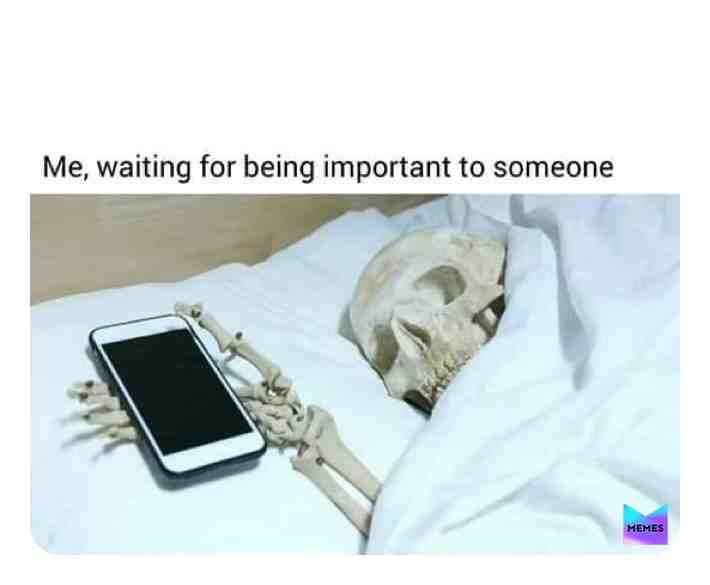 Meme shared by @_shim_shitposts_