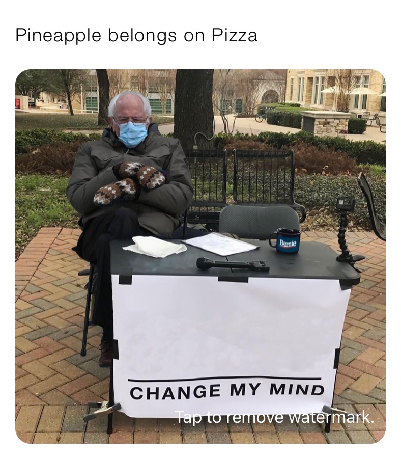 Pineapple belongs on Pizza