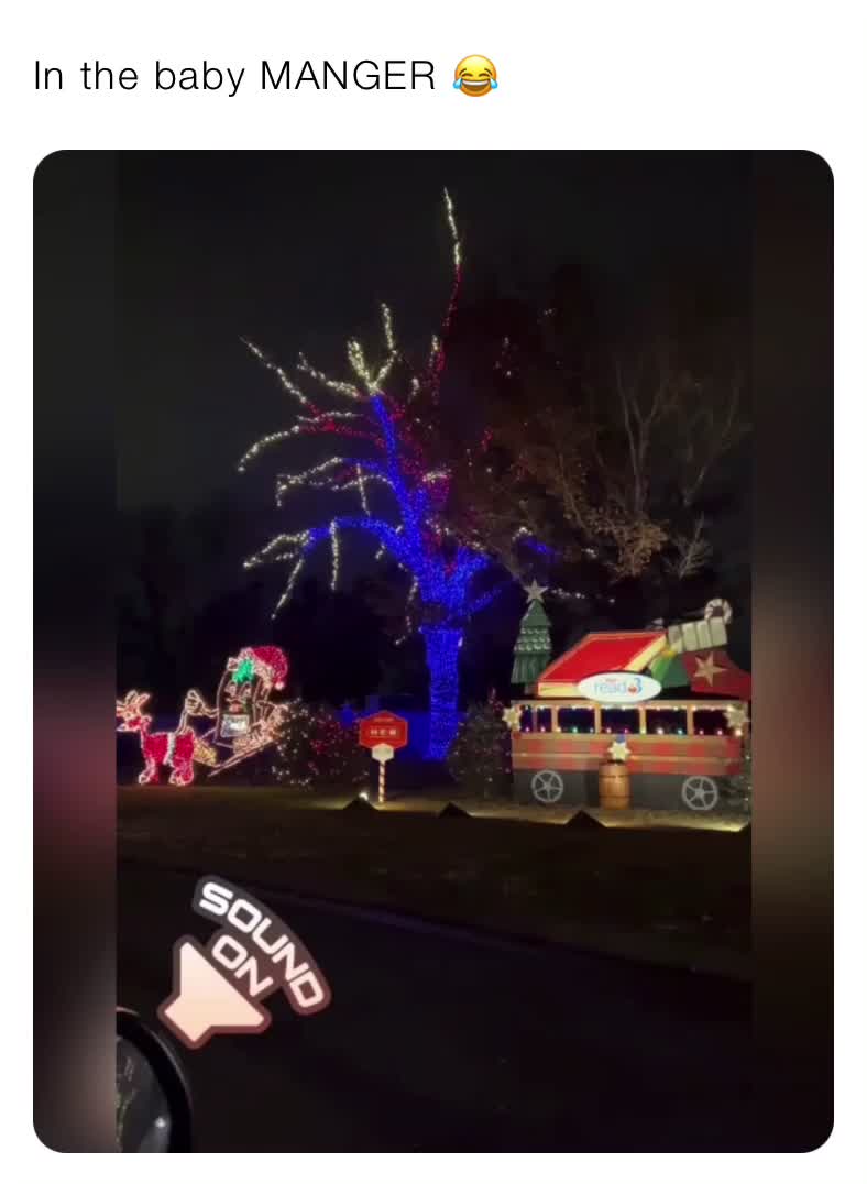#lol  #humor  #funny  #merrychristmas  #happyholidays  #caitlinreilly  #christmaslights
