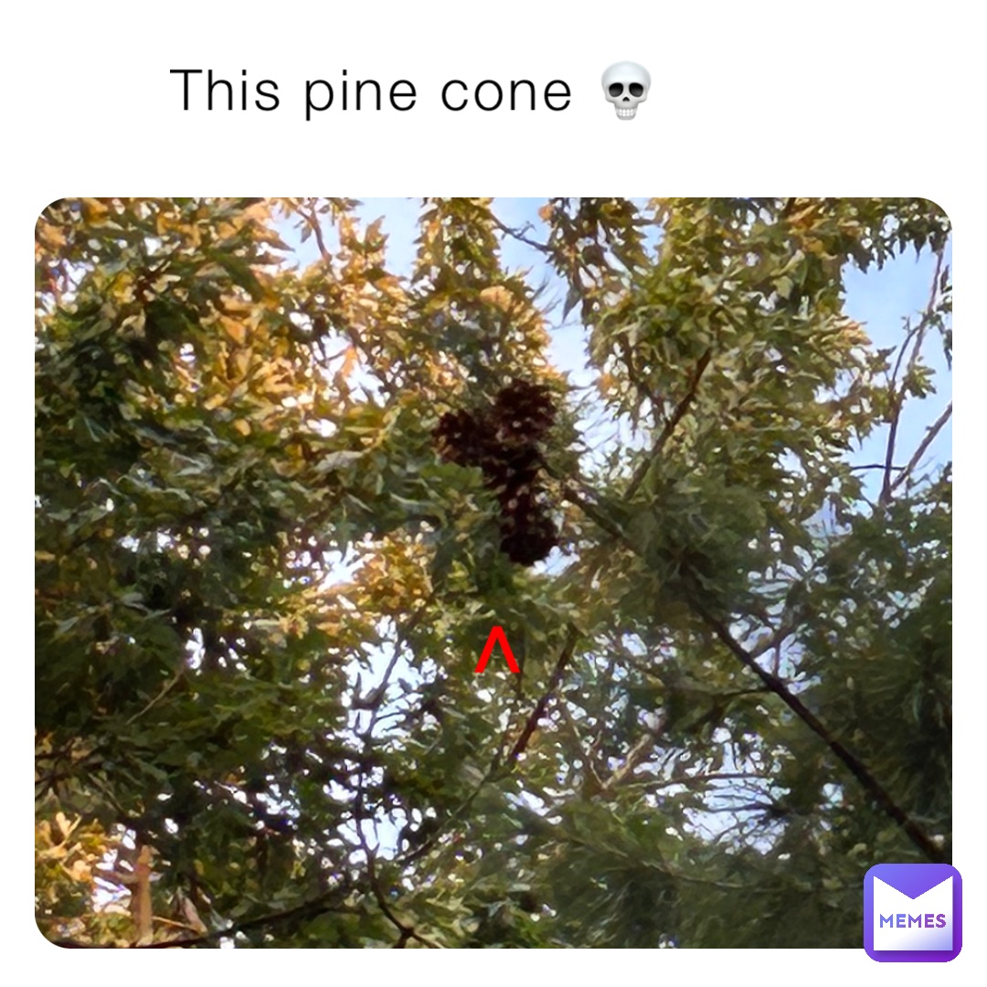 This pine cone 💀 ^