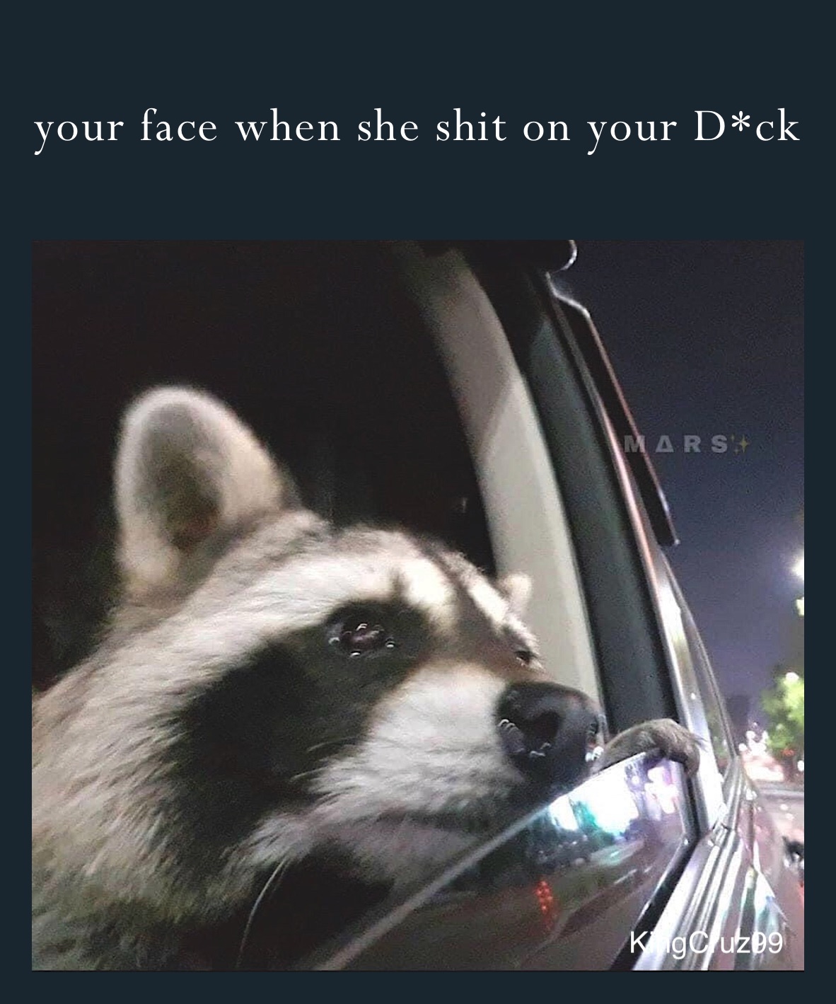 your face when she shit on your D*ck 