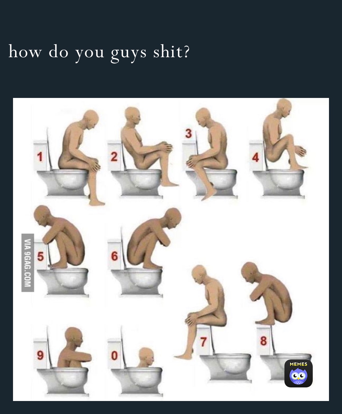 how do you guys shit? 