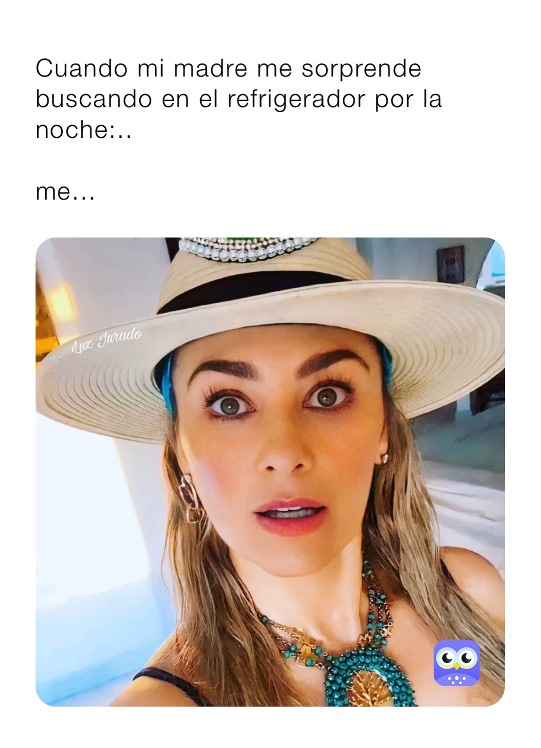 Cuando mi madre me sorprende buscando en el refrigerador por la noche:..

me...