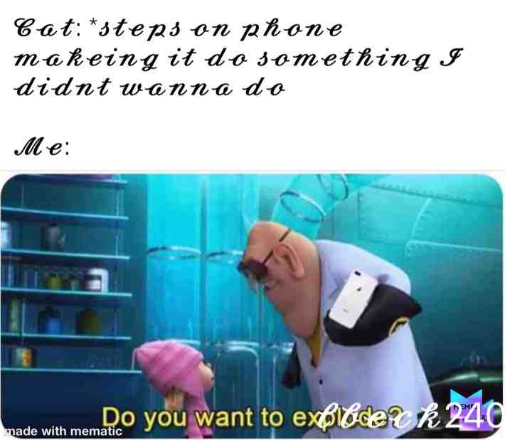 Meme shared by @lbeck240