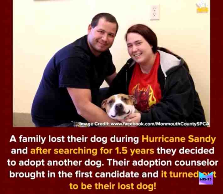 Happy news for does who are sad