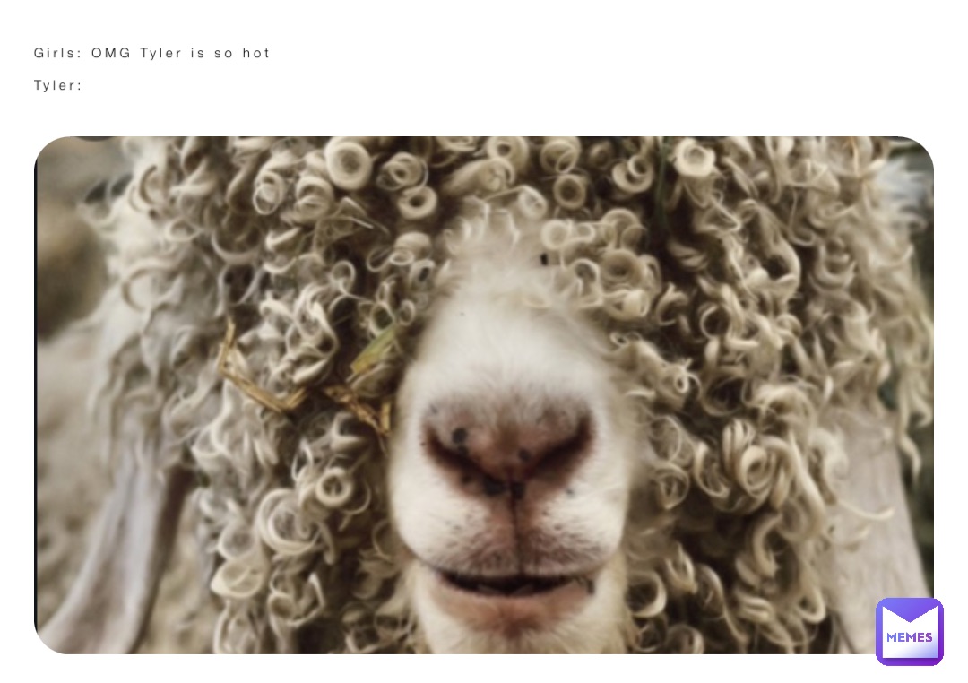 Girls: OMG Tyler is so hot 

Tyler: