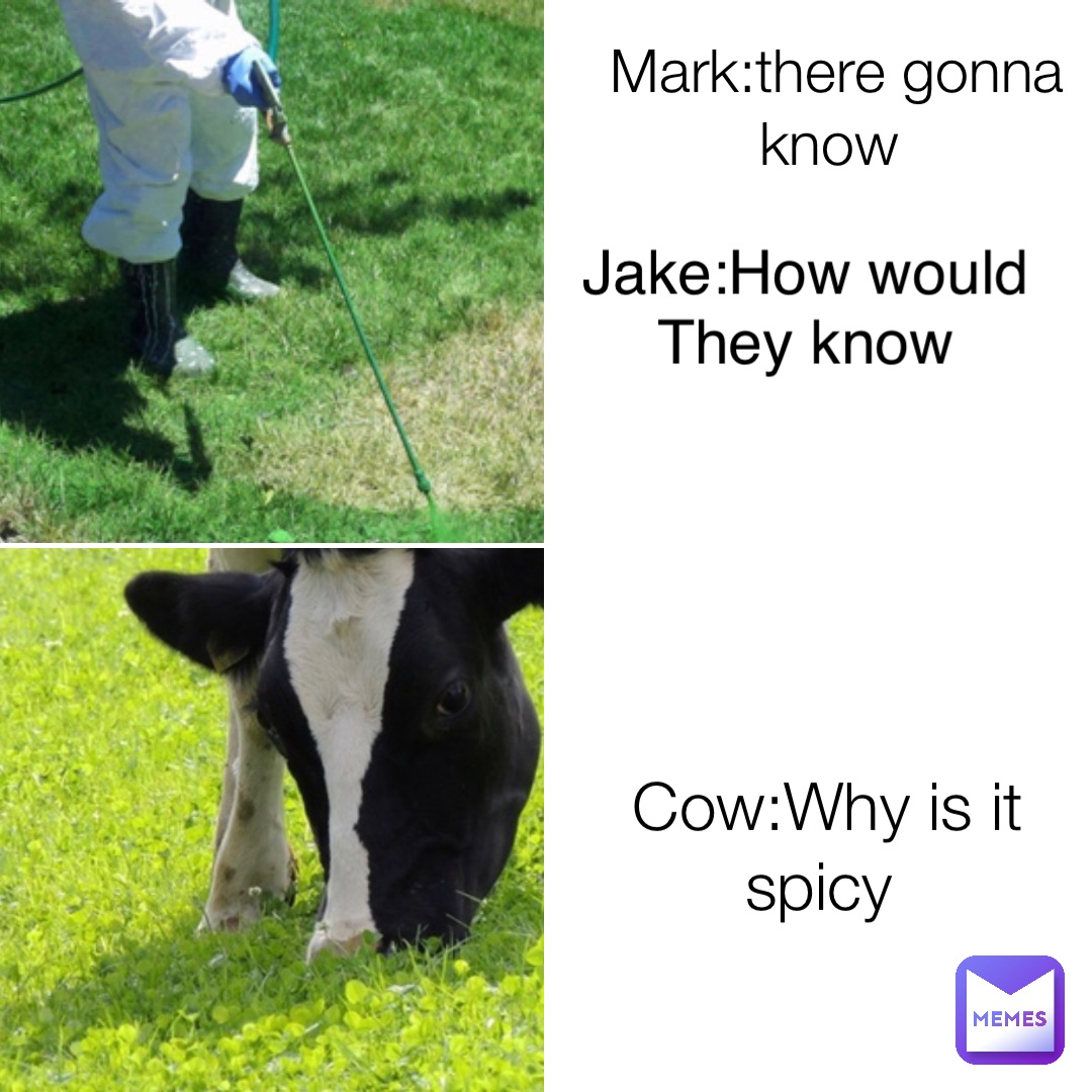 Meme by Pepe_The_Frogg