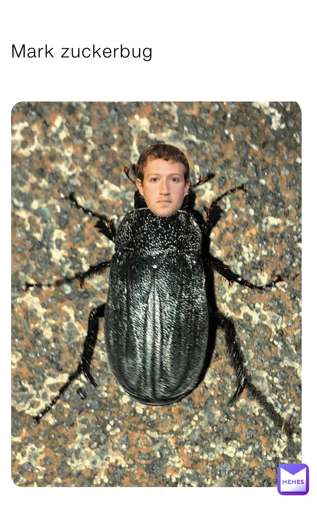 Mark zuckerbug