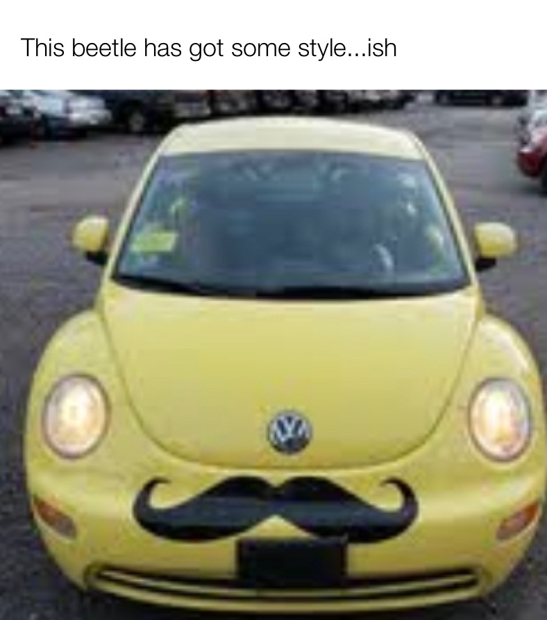 This beetle has got some style...ish