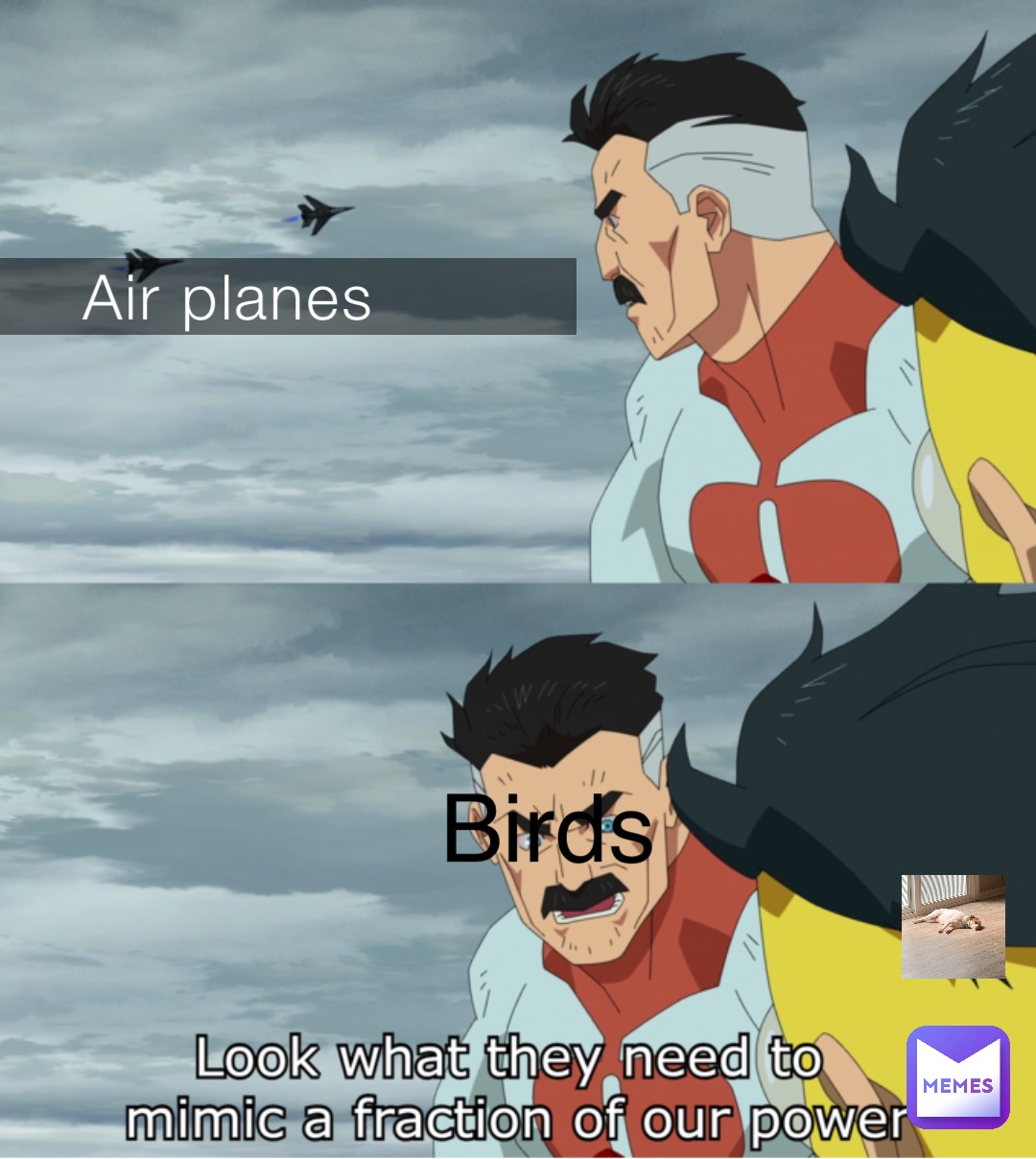 Air planes Birds