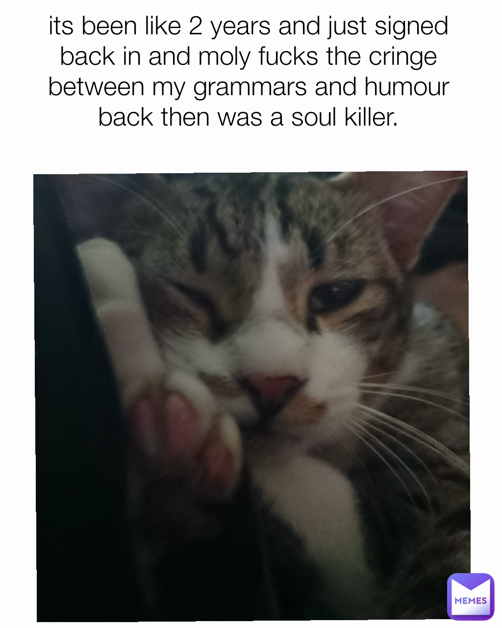 its been like 2 years and just signed back in and moly fucks the cringe between my grammars and humour back then was a soul killer.