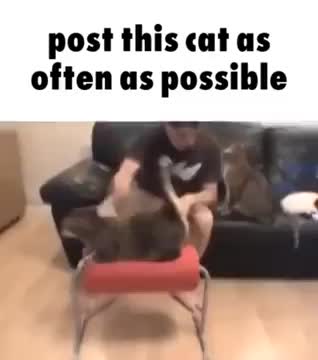 Meme preview