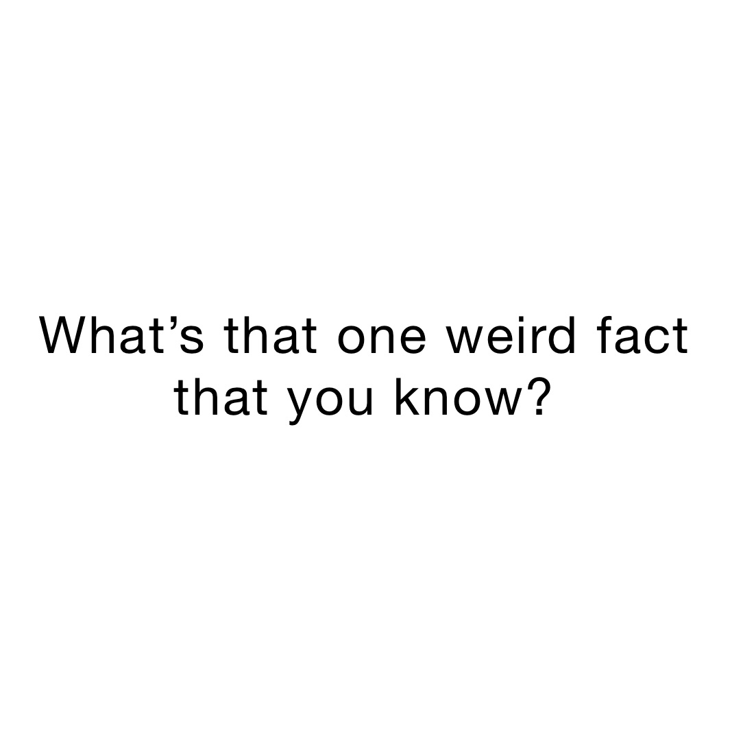 What’s that one weird fact that you know?