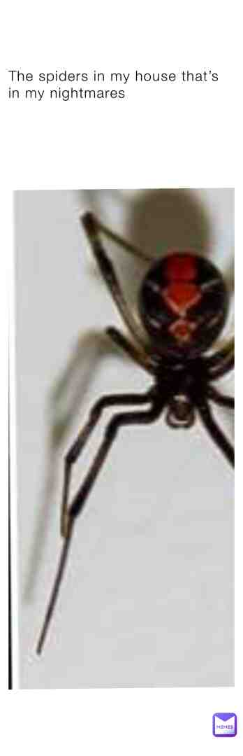 #spiders in my nightmare