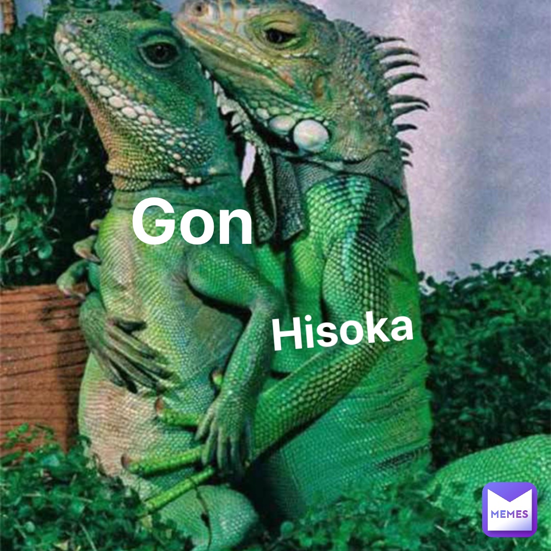 Gon Hisoka