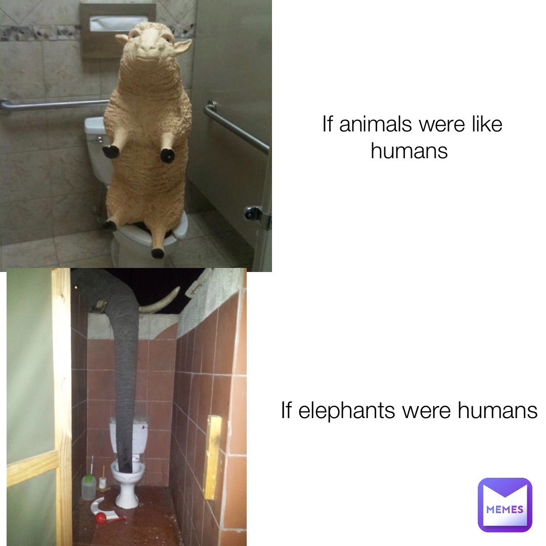 If animals were like humans If elephants were humans