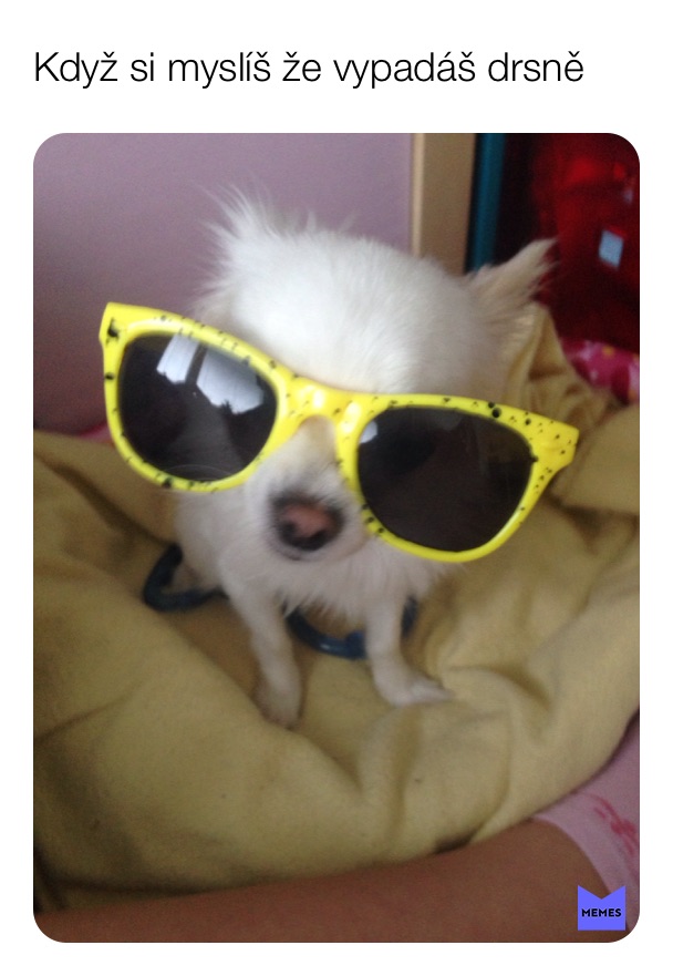 Meme by top_czech_memes