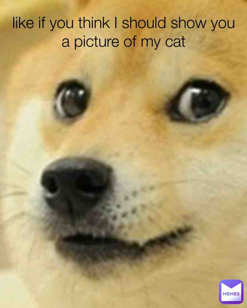 Meme shared by @Dawsonbuck99