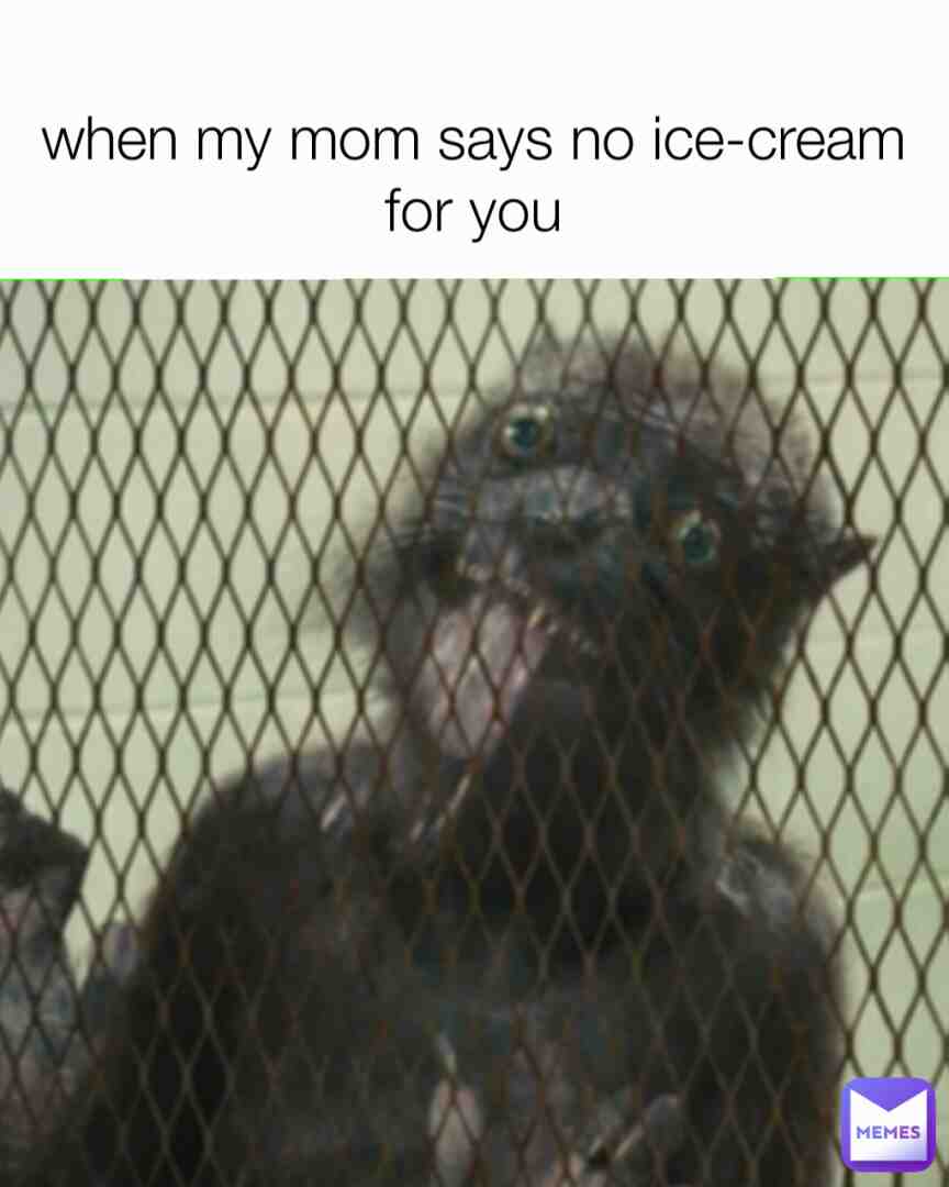 Meme shared by @Dawsonbuck99