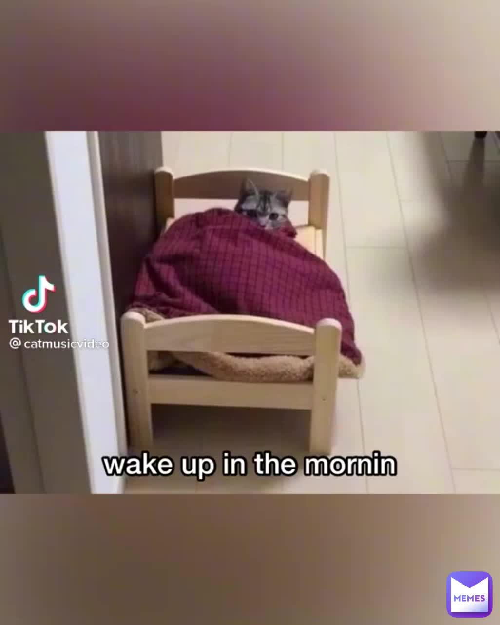 Meme shared by @Dawsonbuck99