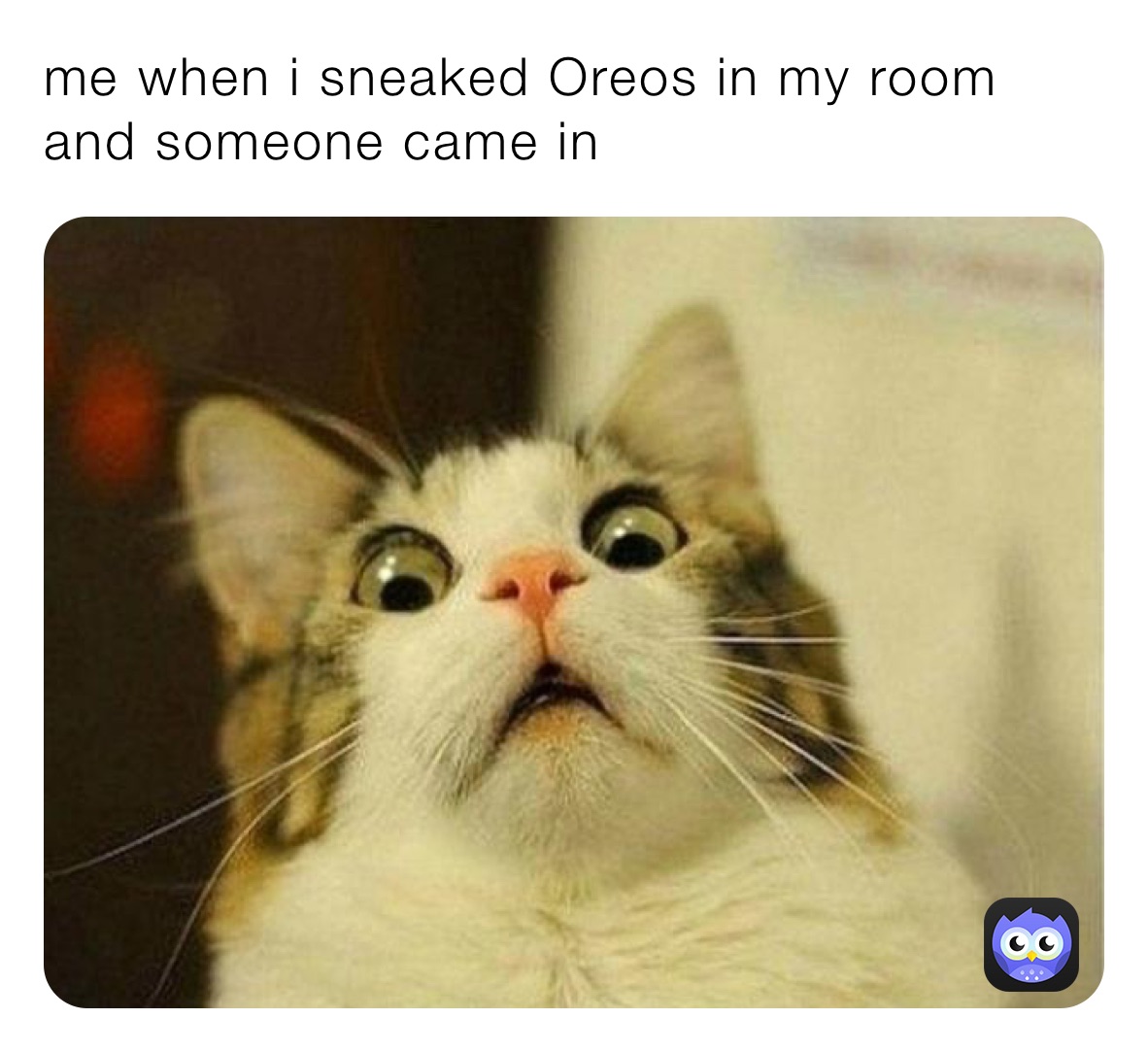 me when i sneaked Oreos in my room and someone came in