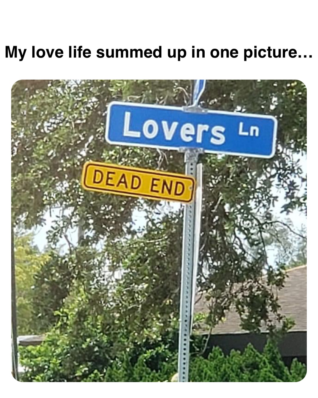 Double tap to edit My love life summed up in one picture…