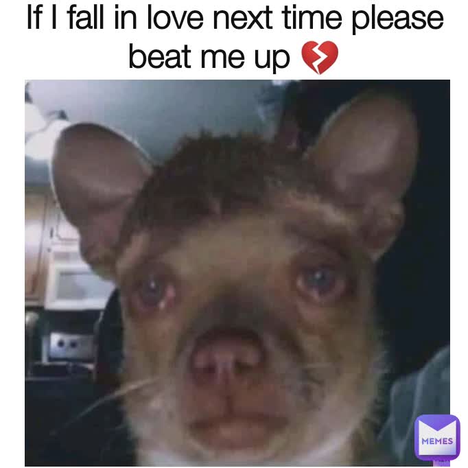 If I fall in love next time please beat me up 💔