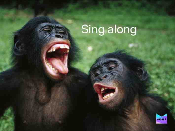 Name that tune #funny #topmemes #laughable #forfun #witty #2020 #springtime #humour #song