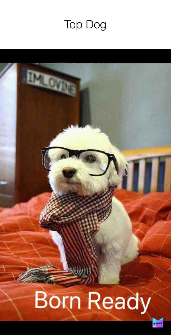 #cute #springtime #humour #laughs #witty #2020 #foryou #forfun #laughable