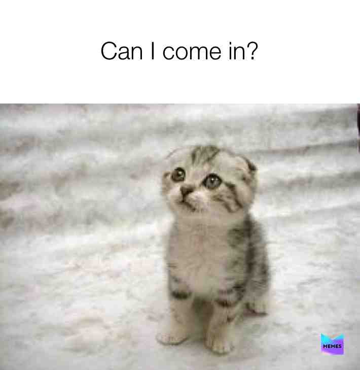 At the end of the day #springtime #humour #2020 #witty #laughs #catlaughs #topmemes #laughable #forfun