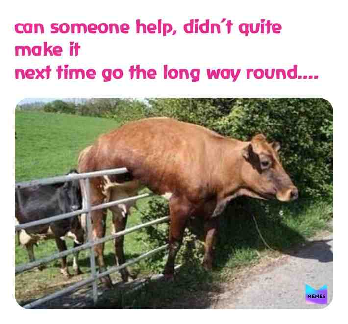Short cuts aren’t what it says on the tin