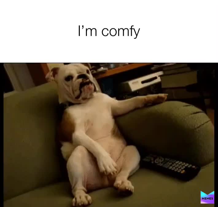 #humour  #laughs ​ #witty ​ #2020  #springtime  #foryou  #topmemes ​ #laughable  #forfun ​ #Gifs ​ #gifsfun