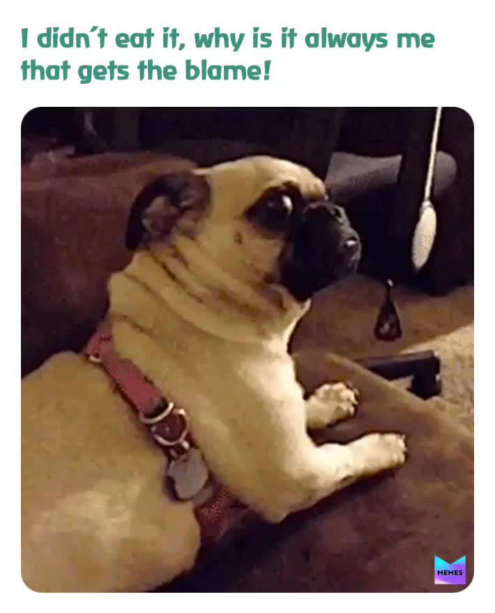 Not again, quick look innocent....