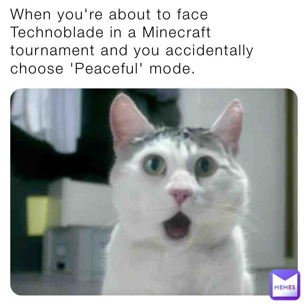 Me when I face technoblade